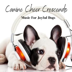Canine Cheer Crescendo: Music For Joyful Dogs - Smooth Chill Playlist