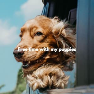 Free time with my puppies - Relaxing Jazz Nights