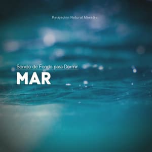 Sonido de Fondo para Dormir: Mar - Relajación Natural Maestro