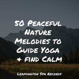 50 Peaceful Nature Melodies to Guide Yoga & find Calm - Naturaleza Relajacion