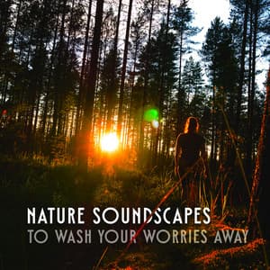 Nature Soundscapes to Wash Your Worries Away - Anti Stress Music Zone
