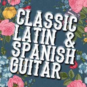 Classic Latin & Spanish Guitar - The Acoustic Guitar Troubadours