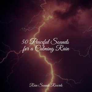 50 Peaceful Sounds for a Calming Rain - Canciones De Cuna