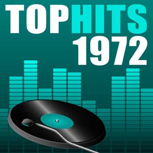 Top Hits 1972 - The Seventies