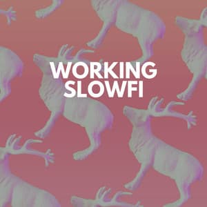 Working Slowfi - Lofi