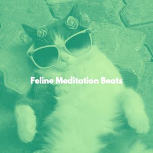 Feline Meditation Beats - Jazz Lounge Bar Playlist