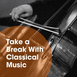 Take a Break with Classical Music - Best of Classical Music Collective