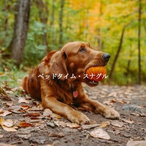 ベッドタイム・スナグル - Soft Dinner Music