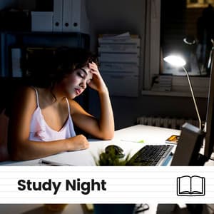 Study Night - Study With Us