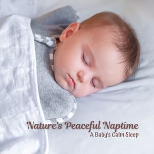Nature's Peaceful Naptime: A Baby's Calm Sleep - The Committers
