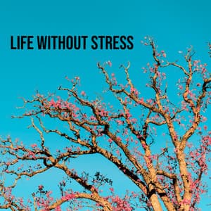 Life Without Stress - Reduce Anxiety and Stress with New Age Music - Healing Music Academy