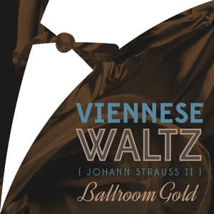 Viennese Waltz of Johann Strauss II - Nuremberg Symphony Orchestra
