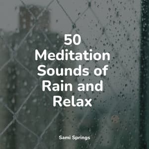 50 Meditation Sounds of Rain and Relax - Deep Horizon Waves
