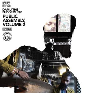 Public Assembly Volume 2 - Damu The Fudgemunk