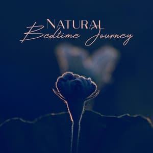 Natural Bedtime Journey: Empty Your Mind with Beautiful Organic Soundscapes - Calm Nature Oasis
