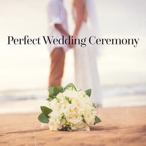 Perfect Wedding Ceremony Entrance - Wedding Music Zone