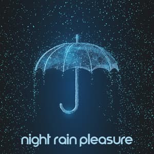 Night Rain Pleasure – Cozy Dreams & Wellness Sounds - White Noise Dimension