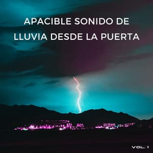 Apacible Sonido De Lluvia Desde La Puerta Vol. 1 - Lluvia en el Bosque