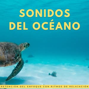 Sonidos Del Océano: Retención Del Enfoque Con Ritmos De Relajación - Los SubOceaners