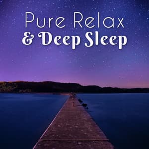 Pure Relax & Deep Sleep: Natural Aid for Trouble Sleeping, Insomnia, Music to Help You Fall Asleep, Reducing Stress & Control Anger, Feel Inner Bliss - Stages of Sleep Music Universe