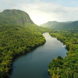 Tranquil Waterside Slumber: Dreamy River Sounds - Rainforest Sounds