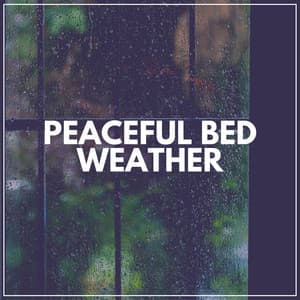 Peaceful Bed Weather - The Sound Of The Rain