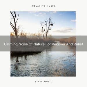 Calming Noise Of Nature For Recover And Relief - Sea Sounds