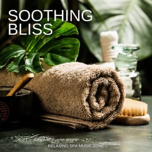 Soothing Bliss: Spa Treatment - Relaxing Spa Music Zone