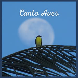 Canto Aves - Sonidos De Aves
