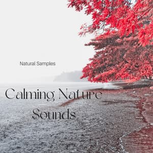 Calming Nature Sounds - Natural Samples