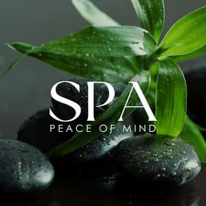 SPA Peace of Mind: Magic Calming Music for Best Spa Experience - Amazing Spa Music