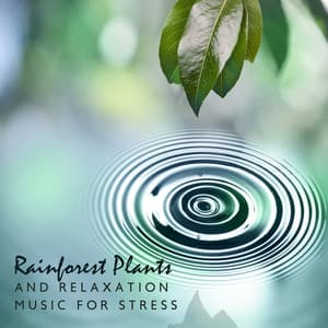 Rainforest Plants and Relaxation Music for Stress Relief - Relaxing Nature Sounds Collection