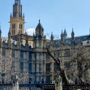 Solo in London - Cozy Coffee Shop