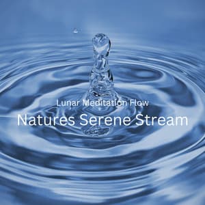 Lunar Meditation Flow: Natures Serene Stream - Sounds of the Jungle