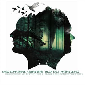 Concertos For Violin & Orchestra - Milan Pala