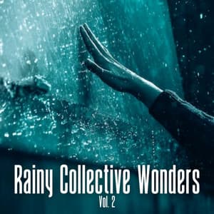 Rainy Collective Wonders Vol. 2 - Spa Music Lounge