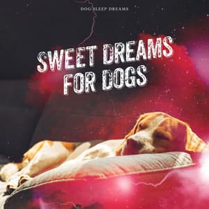 Sweet Dreams for Dogs - Dog Sleep Dreams