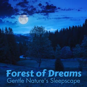 Forest of Dreams: Gentle Nature's Sleepscape - Sounds Of Nature
