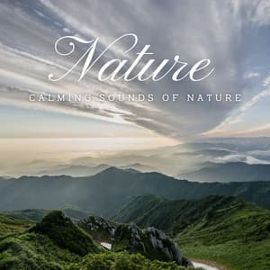 Eternal Waterscapes: Calming Sounds of Nature - Waterfall White Noise
