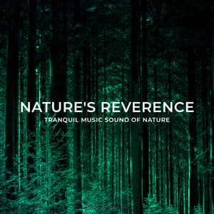 Nature's Reverence - Tranquil Music Sound of Nature