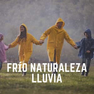 Frío Naturaleza Lluvia - Sonidos De Lluvia