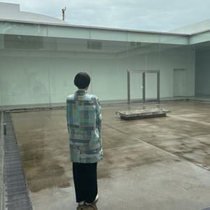 Vitio - Laurent Petitgand