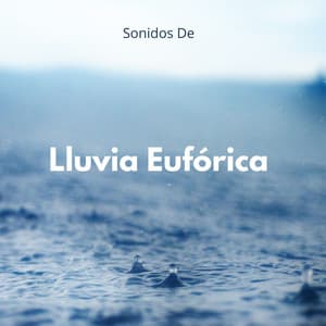 Sonidos De Lluvia Eufórica - Sonidos De Lluvia