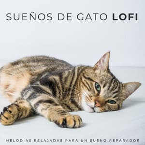 Sueños De Gato Lofi: Melodías Relajadas Para Un Sueño Reparador - Café ChillHop