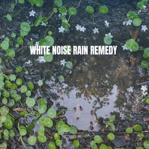 White Noise Rain Remedy - Relaxing Rain Sounds