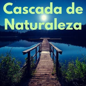 Cascada de Naturaleza - Cascada de Lluvia