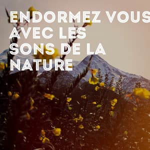 Endormez-vous avec les sons de la nature - Bruits naturels