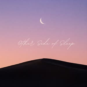Other Side of Sleep - Melatonin Monk