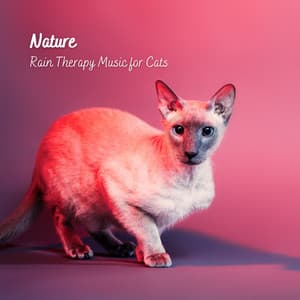 Nature: Rain Therapy Music for Cats - Cat Music Therapy