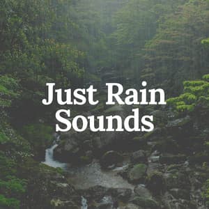Just Rain Sounds - Rainfall